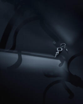 daniela-trost-zohra-rahman-product-jewellery-photography-rgberlin 