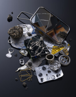 for Birke Gorm by Daniela Trost 