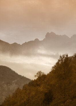 Documentary photography of Citterio spaces and product systems – captured by Daniela Trost 