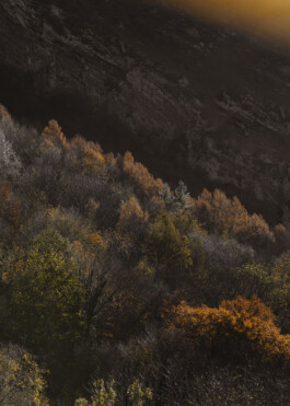 Documentary photography of Citterio spaces and product systems – captured by Daniela Trost 