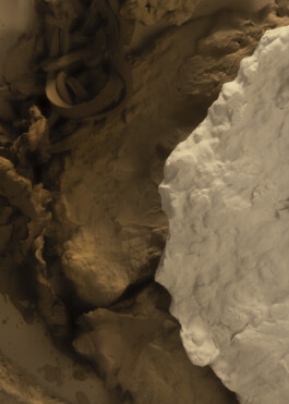 franzi.ist. Photography by Daniela Trost 