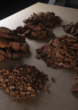 Studio photography of Birke Gorm for Phileas in Vienna – captured for 