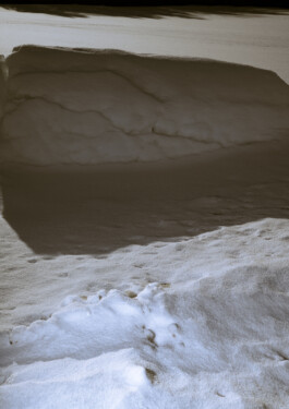 Daniela Trost Photography 