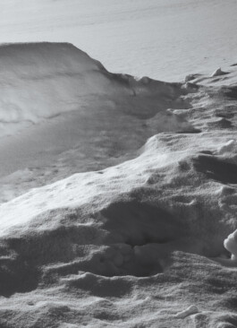 Daniela Trost Photography 