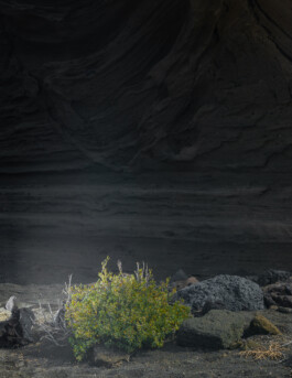 daniela trost lanzarote