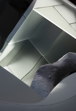 Daniela Trost Photography 