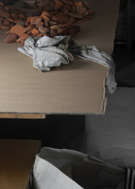 Studio photography of Birke Gorm for Phileas in Vienna – captured for 