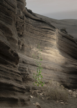 Daniela Trost Lanzarote 