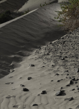 daniela trost lanzarote