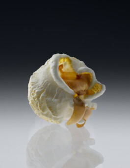 daniela trost popcorn 